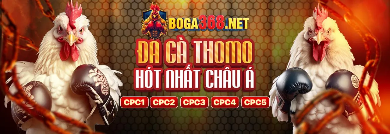 Đá Gà Trực Tuyến kf88